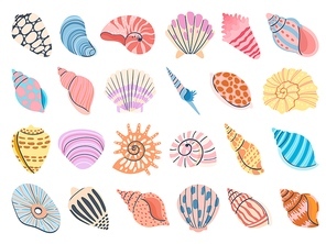 Tropical seashell. Cartoon clam, oyster and scallop shells. Colorful underwater conches of mollusk and sea snail. Ocean shellfish vector set isolated on white. Colorful undersea elements