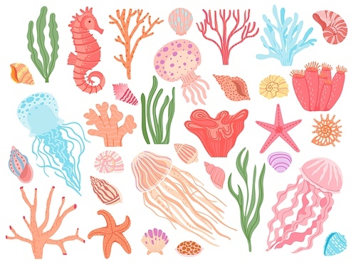 Ocean elements. Cartoon seaweeds, corals, seashells and reef animals. Sea starfish, seahorse and jellyfish. Nautical decorative vector set. Underwater ecosystem, aqua natural creatures