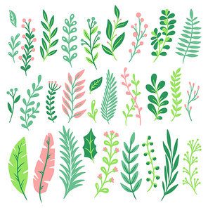 Decor leaves. Green plant leaf, ferns greenery and floral natural fern leaves. Vintage decorative monstera and palm foliage leaf. Plant ornament isolated vector icons set