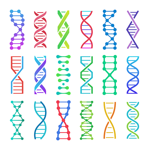 Colorful DNA icon. ADN structure spiral, deoxyribonucleic acid medical research and human biology genetics code. Chemistry adn or biology genome dna molecule. Vector isolated icons set