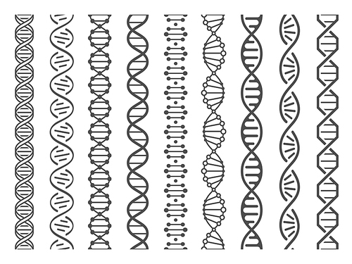 Seamless DNA spiral. Adn helix structure, genomic model and human genetics code. Genome alteration, chemistry adn gen research. Vector isolated illustration set