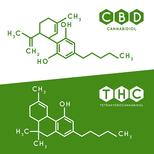Thc and cbd formula. Cannabidiol and tetrahydrocannabinol molecule structure compound. Medical marijuana molecules, cannabidiol biochemistry formula. Chemistry addiction vector illustration