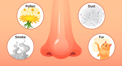 Allergic sickness. Red nose, allergy illnesses symptoms and allergens. Smoke, pollen and dust allergies. Allergy disease rhinitis itchy symptom, medical cartoon vector illustration