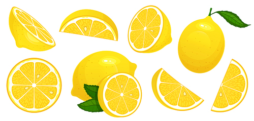 Lemon slices. Fresh citrus, half sliced lemons and chopped lemon. Cut lemons fruit slice and zest for lemonade juice or vitamin c logo. Isolated cartoon vector illustration icons set