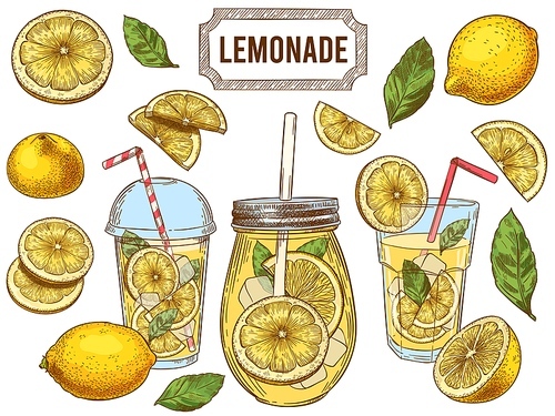 Sketch lemonade. Summer cold drinks, hand drawn yellow lemons slices and leaves. Glass of lemonade with ice vector illustration set. Drink fruit lemonade graphic, juice and mint leaf