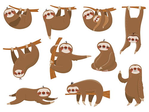 Cute cartoon sloths. Adorable rainforest animals at zoo, mother and baby family on branch, funny parents sloth animal sleeping hanging on jungle tree colorful vector isolated icon set
