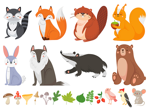 Funny wood animals. Wild forest animal, happy woodland fox and cute squirrel. Wood wild fauna wolf, bear and raccoon character, mushrooms and birds. Vector cartoon isolated icons illustration set