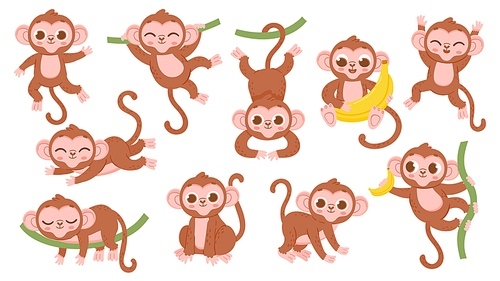Cute cartoon jungle baby monkey character poses. Exotic tropical animal mascot, ape jumping on tree, holding banana and sleeping vector set of monkey character in poses various illustration