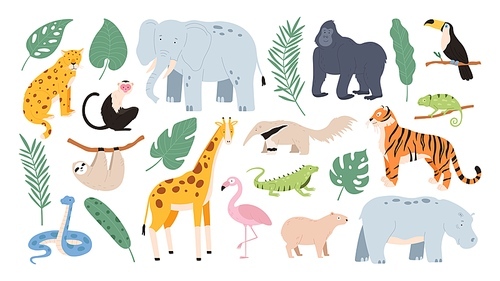 Flat tropical animals from african savannah and jungle forest. Cartoon tiger, monkey, flamingo, elephant and sloth. Safari animal vector set. Illustration of jungle wild animal collection