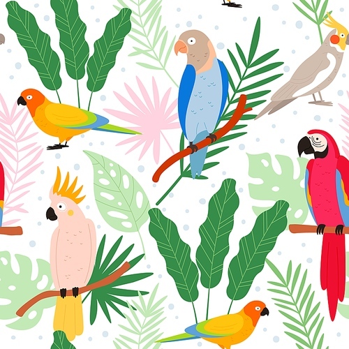 Colorful cartoon exotic parrots and tropical leaves seamless pattern. Cockatoo, macaw, colombia paradise bird. Flat wild parrot vector . Illustration of cartoon toucan wallpaper and exotic birds