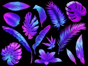 Neon tropical leaves. Color exotic tree and plant leaf, colorful palm leaves hand drawn vector illustration set. Leaf floral tropical, rainforest foliage exotic, fashion botanical