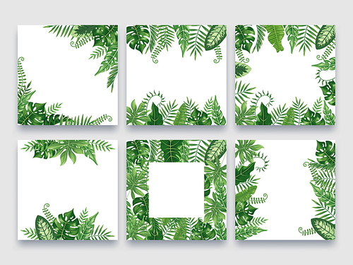 Exotic leaves frame. Tropical leaf border, nature summer frames and luxury palm leaves borders. Green rainforest leaf banner or tropical floral wedding invitation. Vector design background set