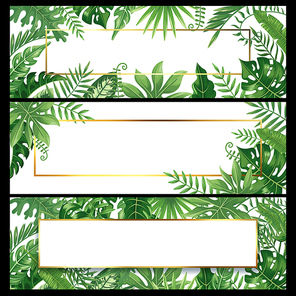Tropical leaves banners. Exotic palm leaf banner, natural coconut palms branch frames and jungle plants or nature green monstera floral hawaiian wedding invitation frame vector background design set