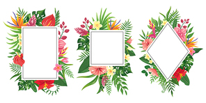 Tropical flower frames. Botanical tropics borders, tropic flowers invitation frame and summer plants green leaves. Rainforest exotic wedding party frames. Vector background isolated icons set