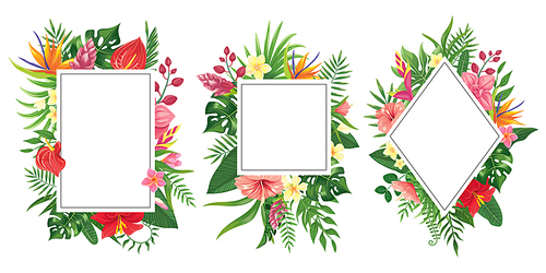 Tropical flower frames. Botanical tropics borders, tropic flowers invitation frame and summer plants green leaves. Rainforest exotic wedding party frames. Vector background isolated icons set