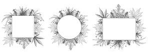 Hemp frame. Hand drawn cannabis plant, sketch hemp leaf and marijuana seeds frames vector set. Bundle of monochrome square, round and rectangular border templates decorated by weed foliage and buds.