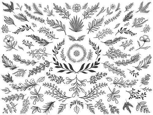 Hand drawn floral decor leaves. Sketch ornamental branches, decorative leafs and flowers vector illustration set. Collection of sprigs, natural design elements, monochrome floristic decorations.