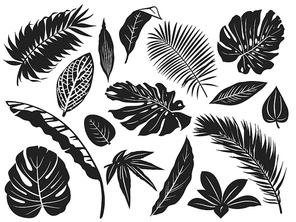 Tropical leaves silhouette. Palm tree leaf, coconut trees and monstera leafs black silhouettes vector illustration set. Monochrome silhouette black tropical jungle greenery