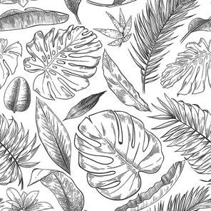 Hand drawn tropical leaves pattern. Sketch drawing palm branch, monstera leaf and exotic forest plants leaf seamless vector background illustration. Flora foliage rainforest, wildlife forest seamless