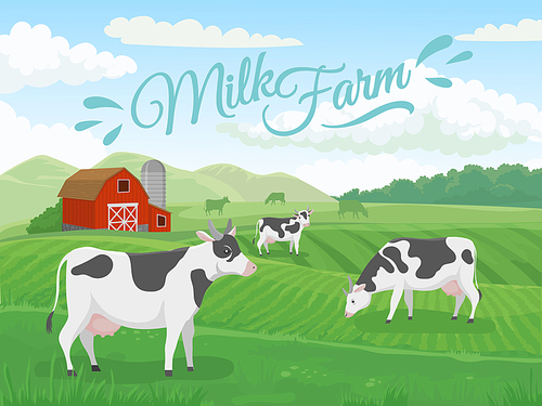 Milk farm field. Dairy farms landscape, cow on ranch fields and country farming cows. Natural milking rural agriculture field or milky farm meadow with cows. Countryside vector illustration