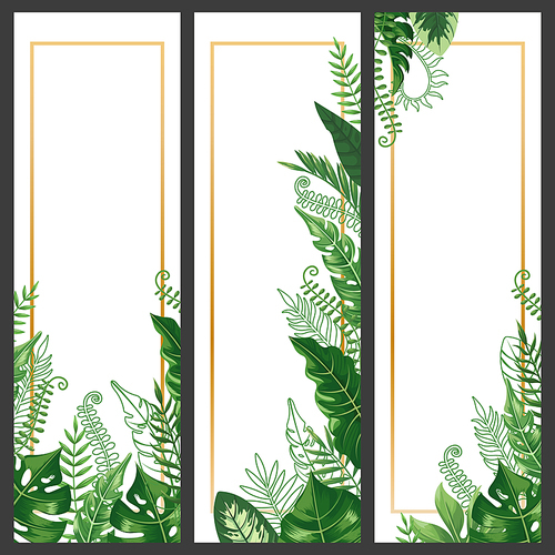 exotic leaves banner. tropical monstera leaf, palm branch and vintage hawaii nature plants vertical banners. jungle leaf border, exotic green tropic spa postcard vector  set