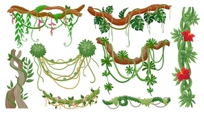 Jungle vines. Tropical tree branches with hanging liana ropes, green moss, exotic plant leaves and flower. Rainforest flora, vine vector set. Illustration branch and jungle forest of tree, green leaf