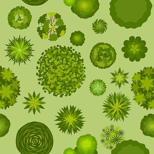 forest landscape with trees top view seamless . map plan with bush and tree plants. green park or garden aerial scheme vector texture. top view forest, pattern above plan illustration
