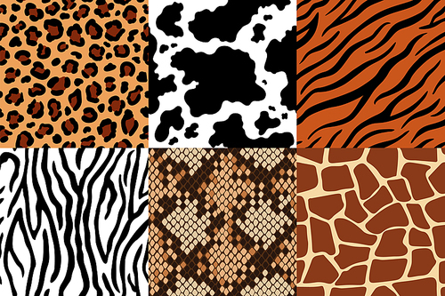 Animal skins pattern. Leopard leather, fabric zebra and tiger skin. Safari giraffe, cow  and snake seamless patterns. Fashion clothes s, wildlife skins fur ed texture vector set