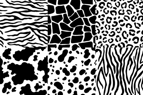 Animal skin pattern. Wildlife zebra texture, tiger skin stripes and leopard spots. Animals textures seamless patterns, exotic clothes printing or wallpaper texture vector set