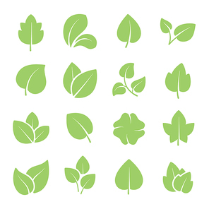 Green tree leaves. Ecology friendly, natural greens young plants pictograms and leaf or forest branch leaves. Nature greenery eco garden plant vector isolated icons set