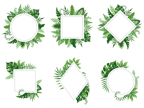Exotic leaf frame. Spring leaves card, tropical tree frames and vintage floral jungle border. Rainforest jungle palm tree party postcard or hawaii banner isolated vector icons set