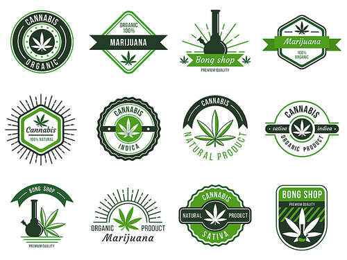 Marijuana label. Smoke weeds, cannabis joint and hashish or weed smoking device. Marijuana seeds, organic cannabis manufacturing logo. Vector illustration isolated symbols set