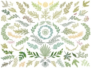 Decor leaves. Hand drawn greenery branches, nature green plants leaf and decorative sketch leaves isolated vector Illustration set. Branch and flower, vintage floral decorative botanical