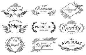 Floral ornament label. Flowers and branches emblem, decorative leaf frame and ornamental framed text vector template set. Floral ornament decoration, leaf branch emblem wedding illustration