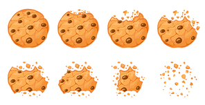 Bitten chocolate chip cookie. Crunch homemade brown biscuits broken with crumbs. Cartoon baked round choco cookies bite animation vector set. Illustration animation disappear choco crumb piece bakery