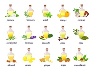 Cosmetic essential oil bottle with herb, fruit and flower. Lavender, argan, coconut and almond nut oils. Aromatherapy or skin oil vector set. Illustration of bottle oil lemon almond
