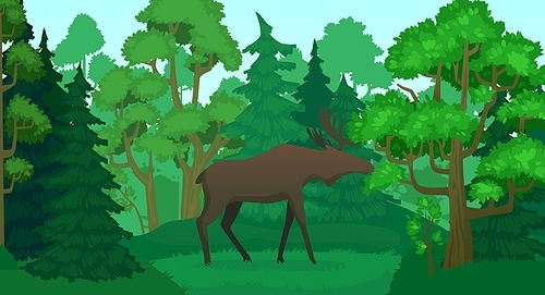 Cartoon moose in forest landscape. Deer silhouette in woods, green forests trees. Wildlife elk Norway or Canada tourism mascot, forests moose horn mammal, animal on nature vector illustration