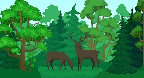 Cartoon deer in forest landscape. Deers in woods, forest field and green trees. Wildlife animals, doe and deer wood scenery or standing elks mammals forests scene vector illustration