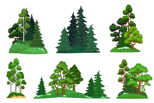 Forest trees. Green fir tree, forests pine composition and isolated trees. Foresting botanical woodland or park green tree trunk signs. Cartoon vector illustration icons set