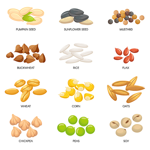 Plant seeds. Cereals grains, chickpeas nuts and cellulose grain. Nut and seed. Planting seedling pumpkin, sunflower and chickpea seeds. Isolated cartoon vector illustration icons set