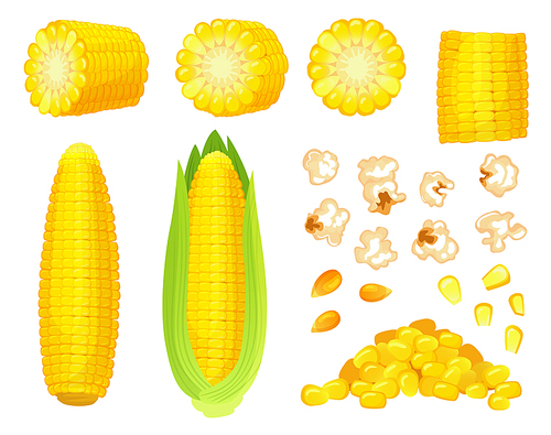 Cartoon corn. Golden maize harvest, popcorn corny grains and sweet corn. Ear of corn, delicious vegetables or corns cob. Agriculture meal harvesting isolated vector illustration icons set