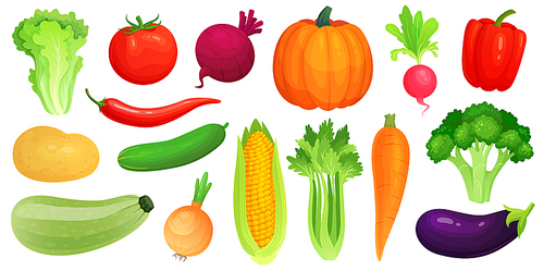 Cartoon vegetables. Fresh vegan veggies, raw vegetable green zucchini and celery. Lettuce, tomato and carrot. Vegetables food, gardening pumpkin and broccoli. Vector illustration isolated icons set