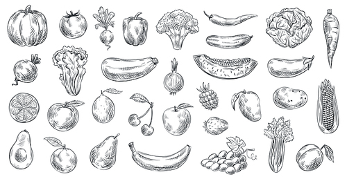 Sketched vegetables and fruits. Hand drawn organic food, engraving vegetable and fruit sketch. Healthy fresh vegetarian or vegan foods doodle. Vector illustration isolated symbols set