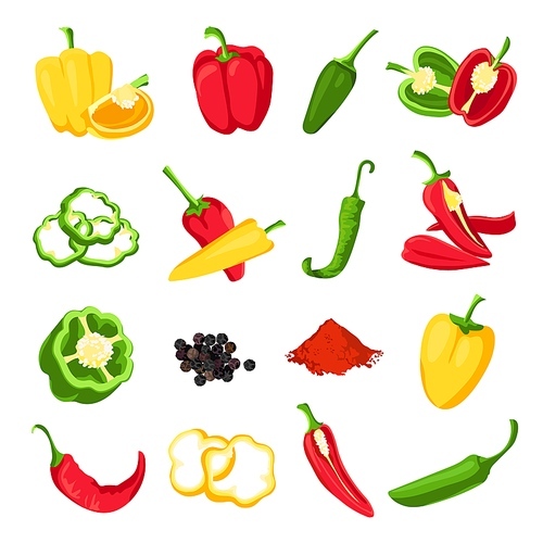 Pepper and paprika. Red, green and yellow sweet, hot and spicy peppers. Jalapeno, capsicum, cayenne and chili spice for sauce, vector set. Ripe ingredient for cooking vegetarian dishes