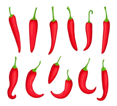 Chili peppers. Cartoon spicy hot red pepper. Cayenne and capsaicin spice ingredient for chilli sauce. Mexican pepper logo element vector set. Burning organic seasoning for food cooking