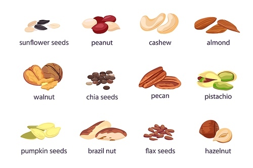 Nuts and seeds. Hazelnut, almond, walnut and peanut. Sunflower, pumpkin and chia seed pile. Pistachio, cashew and brazil nut icon vector set. Illustration peanut and almond nut, cashew and pistachio