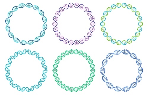 DNA spiral frame set. Human genome helix isolated on white . Genetic concept for science or medicine. Colorful molecule border for biology or biotechnology vector illustration