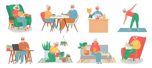 Old people home hobby. Senior men, women and couple work on computer, read, fitness, cook, plant care and knite. Elderly in house vector set. Illustration old elderly grandmother and senior pensioner