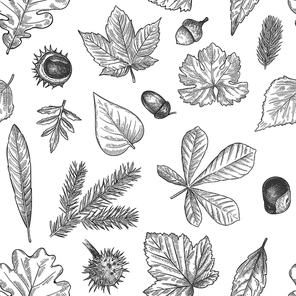 Autumn leaves seamless pattern. Hand drawn fallen leaf, acorns, cones  for textile. Wallpapers, gift wrap or scrapbook vector texture. Engraved foliage, leaves and spruce needles