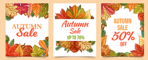 Autumn sale. Colorful fall leaves trendy design for flyers, retail coupons, season sale lettering discount banners vector set. Tree foliage as maple leaf, fir and acorn frame or border